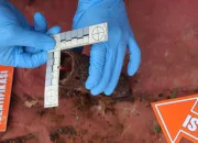 Kronologi Penemuan Bom Rakitan di Perkebunan Warga Dusun Tolana Kabupaten Poso