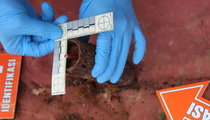 Kronologi Penemuan Bom Rakitan di Perkebunan Warga Dusun Tolana Kabupaten Poso