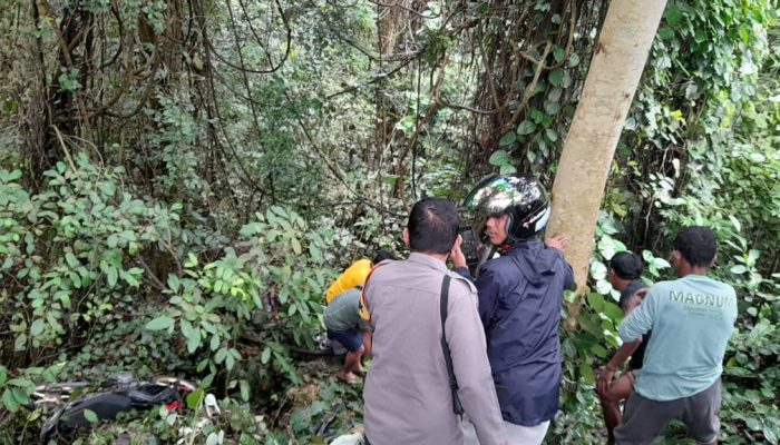 Pengendara Yamaha MX King Terjun Ke Jurang Marowo Touna