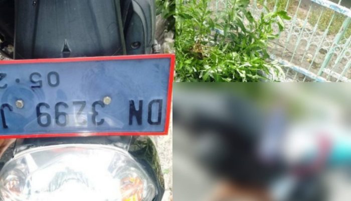 Breaking News: Kecelakaan Maut di Jl Lekatu Palu, Pengendara Pria Meninggal di Tempat