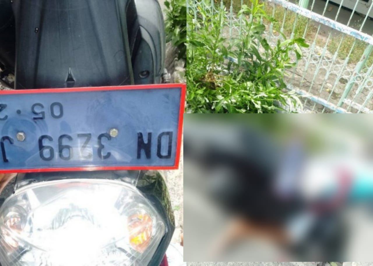 Breaking News: Kecelakaan Maut di Jl Lekatu Palu, Pengendara Pria Meninggal di Tempat f