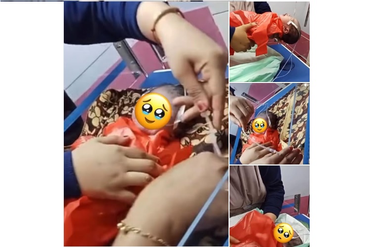 VIRAL Warga Temukan Bayi Terbungkus Plastik Merah di Desa Malala Dondo Tolitoli