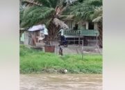 Beredar Video Penganiayaan di Bantaran Sungai Palu, Seorang Pria Dikabarkan Meninggal Dunia
