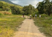 Warga Tak Dapat Ganti Rugi Proyek Jalan Lingkar Bora-Pandere, Padahal Tanah dan Pohon Kelapa Sudah Digusur