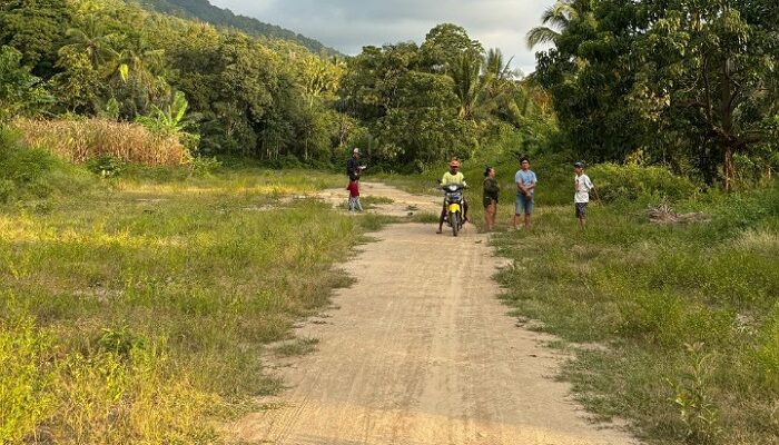 Warga Tak Dapat Ganti Rugi Proyek Jalan Lingkar Bora-Pandere, Padahal Tanah dan Pohon Kelapa Sudah Digusur