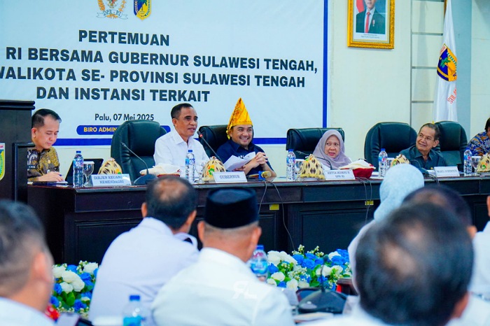 Gubernur Anwar Hafid Bertemu Komisi II DPR RI, Minta Regulasi Tegas Soal BUMD dan BLUD