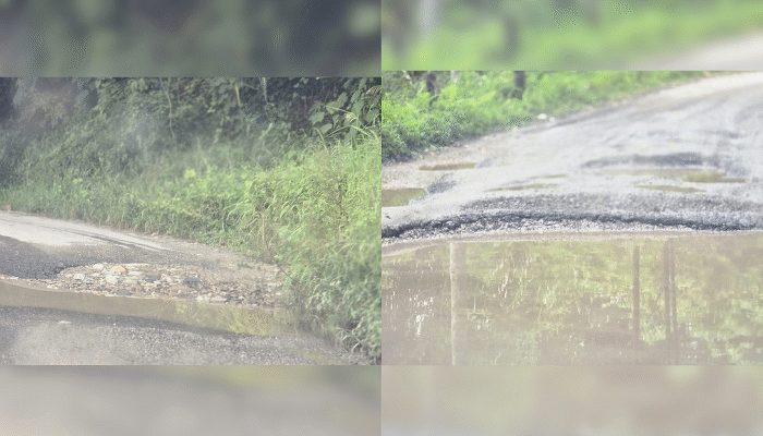 Ruas Jalan Penghubung Parimo-Tolitoli Berlubang Seperti Kubangan di Sejumlah Titik