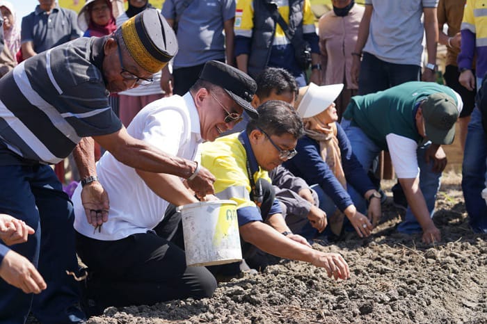 Hadianto Tanam Bibit Bawang di Lahan Pertanian Jl Lagarutu, Sebut Pemerintah Wajib Beri Dukungan