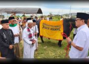 Menteri Karding Serahkan Sapi Qurban Presiden RI ke Warga Huntap Petobo Palu, Beratnya 871 Kg