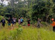 Seorang Pencari Damar Hilang di Hutan Desa Taronggo Morut, Tim SAR Dikerahkan