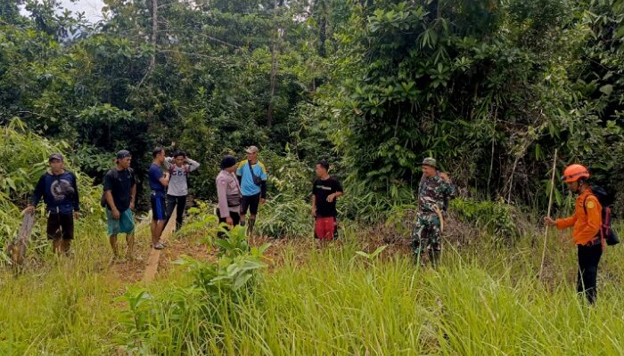 Seorang Pencari Damar Hilang di Hutan Desa Taronggo Morut, Tim SAR Dikerahkan