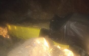 Sopir Truk Dikabarkan Tertimpa Material Tambang di Lokasi PETI Poboya Palu