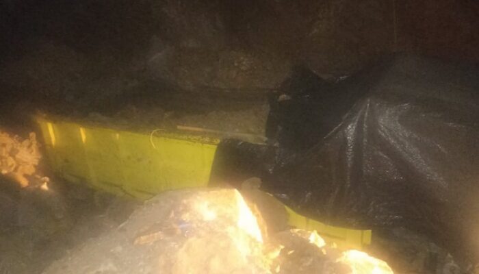 Sopir Truk Dikabarkan Tertimpa Material Tambang di Lokasi PETI Poboya Palu