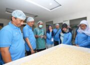Program Training Purnabakti 2025, Jasa Raharja Siapkan Pegawai Hadapi Masa Pensiun Produktif