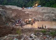 Kritik Keras Soal PETI Parimo, Ancaman Bencana di Lambunu–Taopa–Moutong Kian Menguat