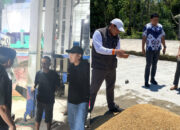 Bulog Sulteng Tinjau Sentra Produksi Petani untuk Optimalkan Serapan Beras dan Gabah