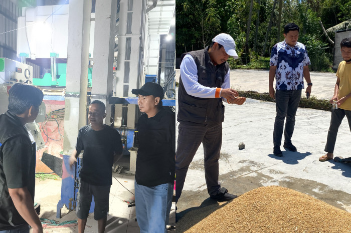 Bulog Sulteng Tinjau Sentra Produksi Petani untuk Optimalkan Serapan Beras dan Gabah