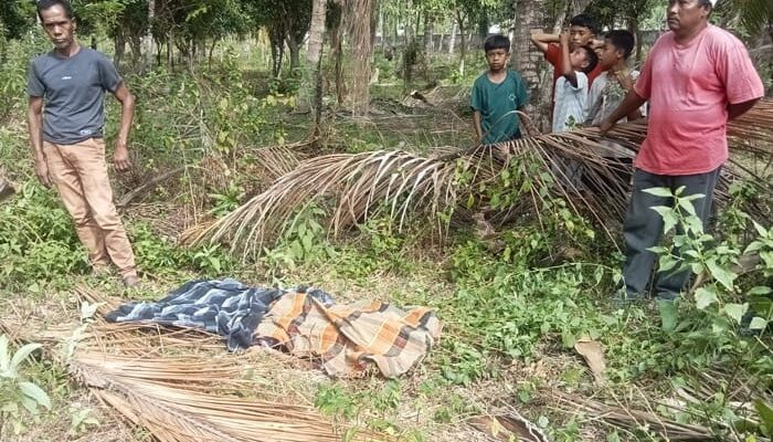 Remaja Ditemukan Tak Bernyawa di Kebun Kelapa Parimo, Warga Desa Avolua Geger
