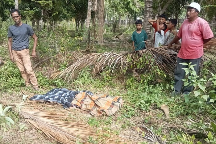Remaja Ditemukan Tak Bernyawa di Kebun Kelapa Parimo, Warga Desa Avolua Geger