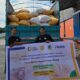 Bulog Sulteng Salurkan 100 Ton Jagung SPHP, Bantu Peternak Dapat Pakan Murah