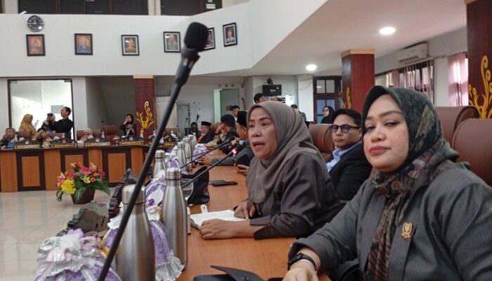 Soroti Pungutan Denda Pelayanan, DPRD Palu Pertanyakan Biaya BPJS dan Fasilitas Rumah Sakit